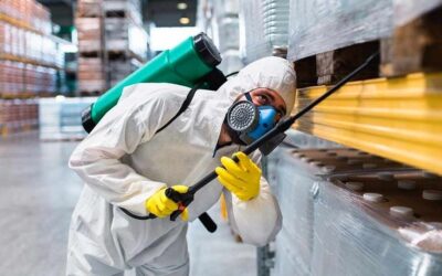 Servicios de fumigación para empresas: Protege tu entorno laboral
