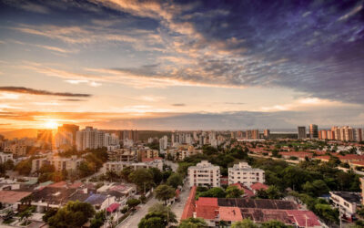 Prevención de plagas en las empresas: Estrategias reales