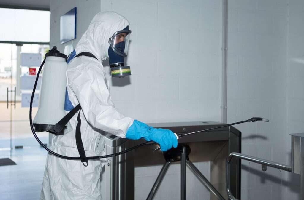 Control de plagas para empresas