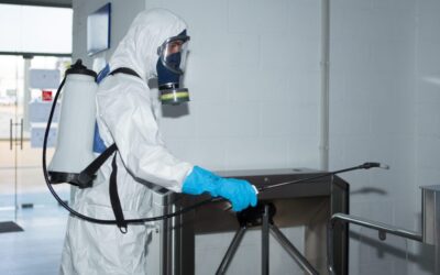 Control de plagas para empresas: Protege tu negocio